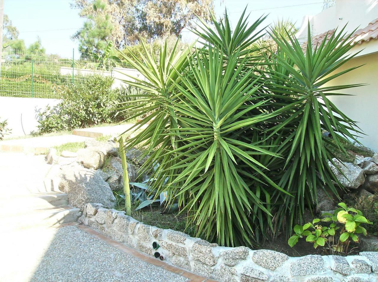 Residenza Marinella Zambrone Exterior foto